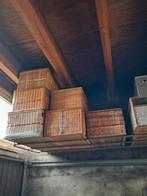 Duiven korven,diverse modellen,apart of als lot 250 euro