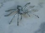 statue d une araignée mygale en étain ..., Enlèvement ou Envoi, Neuf