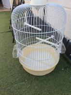 Cage pour oiseaux, Ophalen, Zo goed als nieuw, Metaal, Vogelkooi