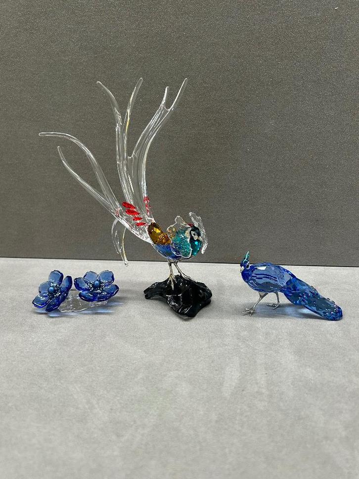 Swarovski SCS Jaarstuk 2026 Lady amherst pheasant compleet, Collections, Swarovski, Neuf, Figurine, Enlèvement ou Envoi