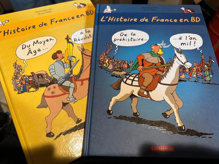 BD L'HISTOIRE DE FRANCE VOL 1 & 2, Boeken, Strips | Comics, Zo goed als nieuw, Ophalen of Verzenden