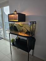 Waterschildpad aquarium set (Aquarium, filter, licht, rekje,, Ophalen of Verzenden, Zo goed als nieuw