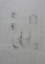 JACQUES 't KINDT / MEDITATIEVE VERZAMELING / LITHO / 70x50cm, Antiek en Kunst, Kunst | Litho's en Zeefdrukken, Ophalen of Verzenden