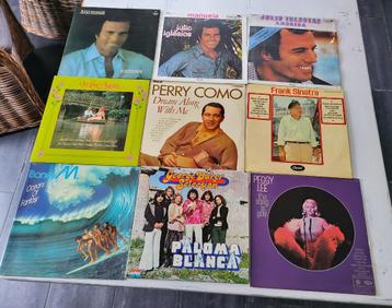 Verschillende vinyl LP's en 2 singels  beschikbaar voor biedingen