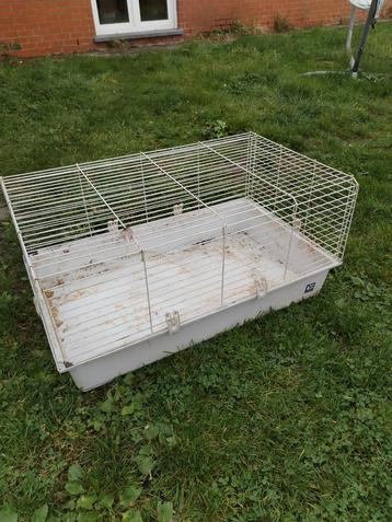 Cavia/konijnenkooi groot beschikbaar voor biedingen