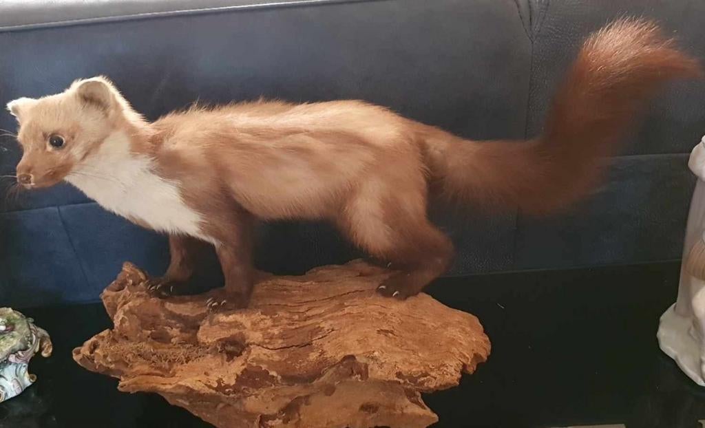 Grande martre en pierre en peluche., Enlèvement ou Envoi