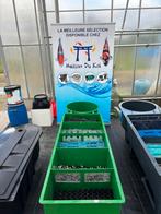 Filtre de bassin, Jardin & Terrasse, Étangs, Enlèvement, Comme neuf