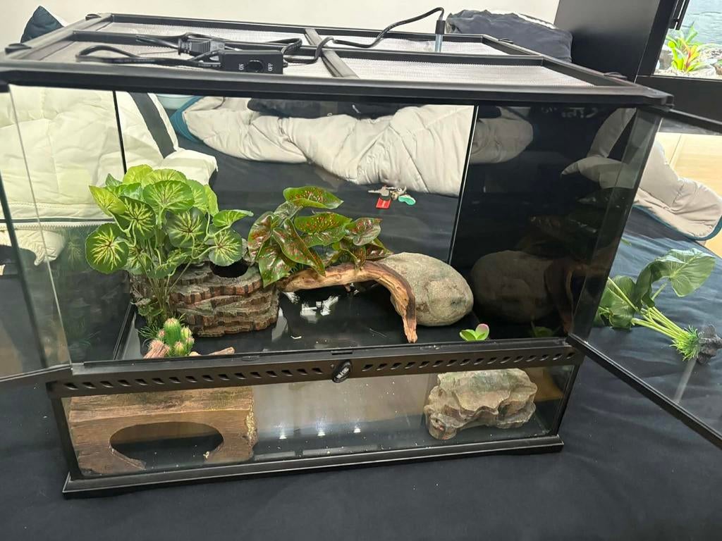 Exo terra 60x45x45, Dieren en Toebehoren, Ophalen