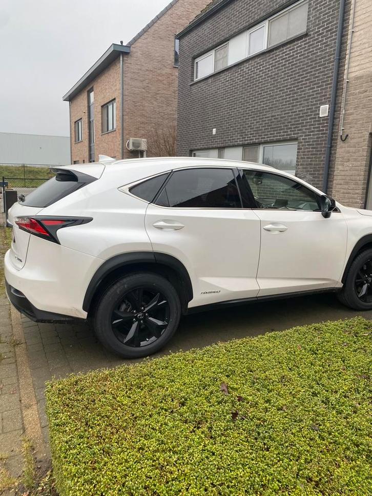 Lexus NX300h, Autos, Lexus, Particulier, NX, 4x4, ABS, Caméra de recul, Phares directionnels, Régulateur de distance, Airbags