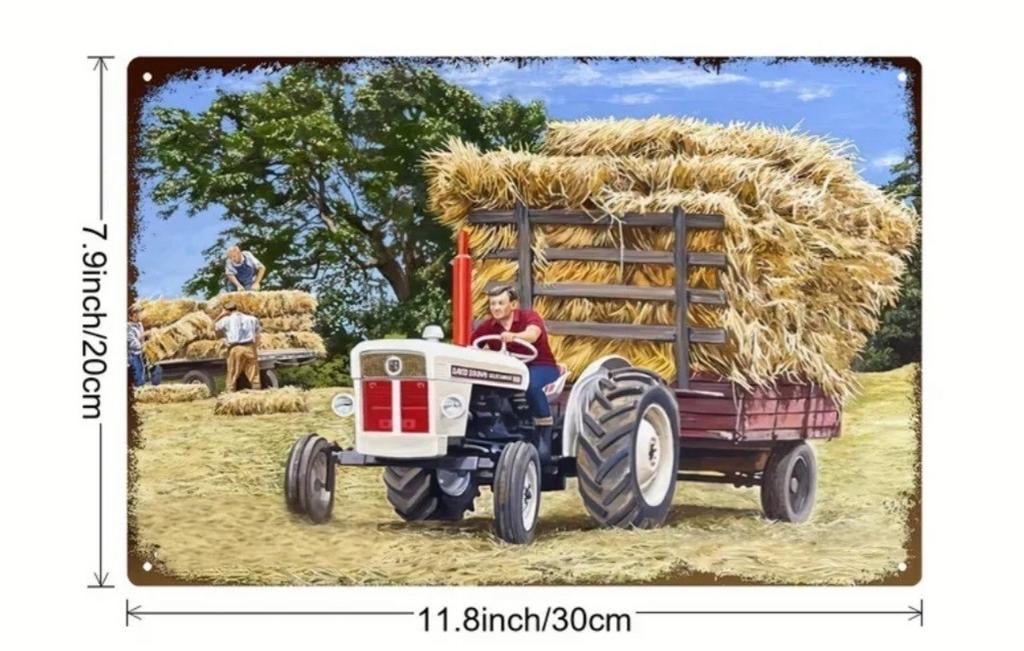 David Brown Selectamatic 880 met hooiwagen metalen wandbord, Ophalen of Verzenden, Nieuw, Overige typen