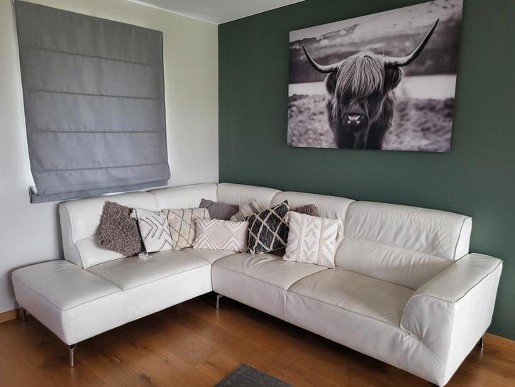 Salon en cuir blanc et salon cuir brun, Maison & Meubles, Canapés | Coins salons complets, Cuir