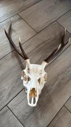 Crane de cerf, Enlèvement, Comme neuf, Cerf