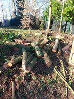 Bois a donner, Jardin & Terrasse, Bois de chauffage, Enlèvement, Troncs d'arbres