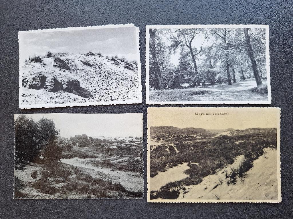 lot 4 CPAS vintage la Panne - les dunes, Collections, Enlèvement, 1940 à 1960, Non affranchie, Flandre Occidentale
