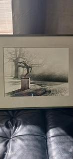 Foto filip tas ,het zotte geweld 40cm op 30cm zonder passe-p, Ophalen