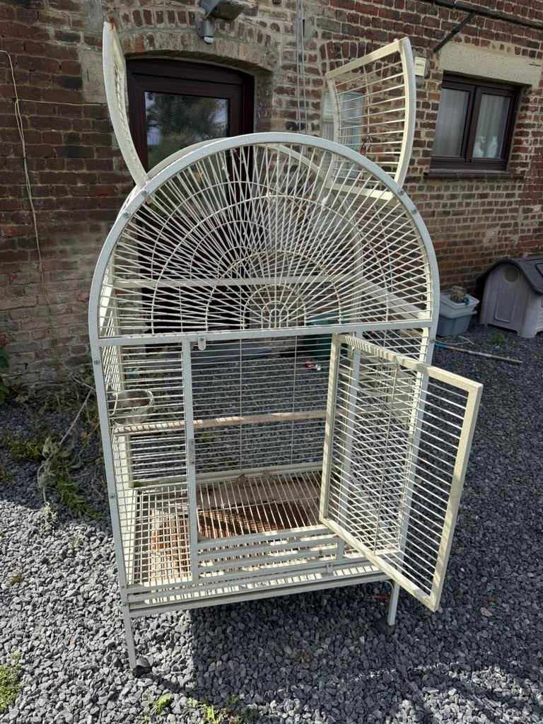 Cage pour Perroquet, Animaux & Accessoires, Oiseaux | Cages & Volières, Enlèvement, Utilisé, Métal, Cage à oiseaux