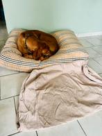 Pouf pour chien, Enlèvement, Comme neuf