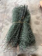 7 schapen netten te koop, Dieren en Toebehoren, Schapen, Geiten en Varkens