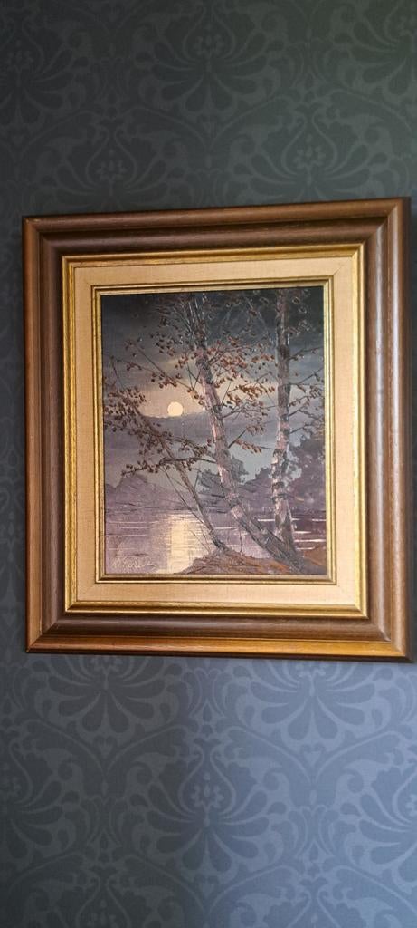 Twee schilderijen in olie verf., Huis en Inrichting, Woonaccessoires | Lijsten, Ophalen