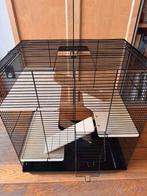 Rattenkooi / knaagdierenkooi Remy zwart, Dieren en Toebehoren, Kooi, 60 tot 90 cm, Minder dan 75 cm, Ophalen of Verzenden