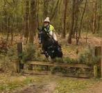 Leuke 10j c pony ruin, Dieren en Toebehoren, Met stamboom, Ruin, Niet van toepassing, C pony (1.27m tot 1.37m)