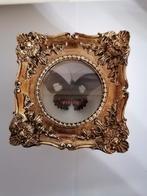 Taxidermy, Verzamelen, Dierenverzamelingen, Verzenden, Nieuw, Insect, Opgezet dier