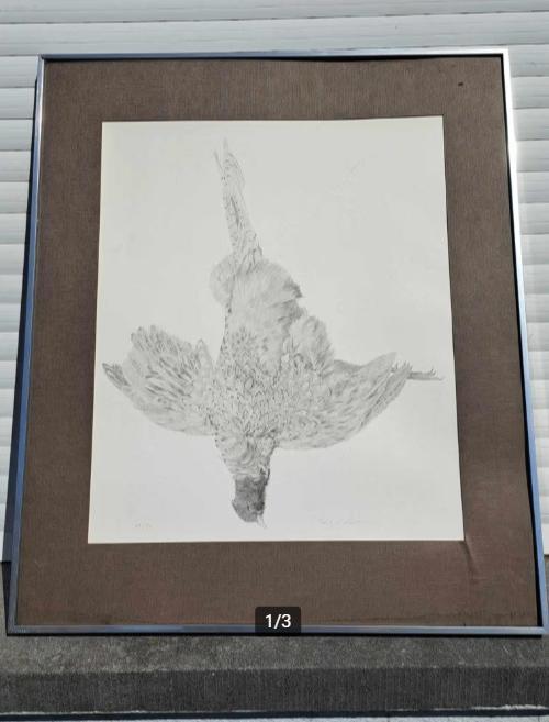 Lithographie oiseaux mort signe paul georges klein, Antiquités & Art, Art | Lithographies & Sérigraphies, Enlèvement ou Envoi