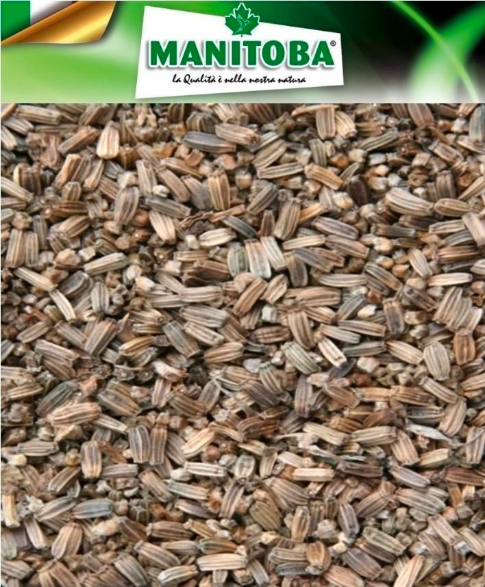 Distelzaad kaardebol 500 gram Manitoba, Dieren en Toebehoren, Vogels | Toebehoren, Ophalen