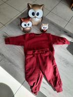 Setje trui en broek Next maat 80, Kinderen en Baby's, Babykleding | Maat 80, Ophalen of Verzenden, Setje