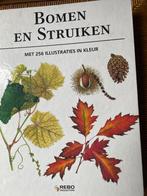 Bomen en Struiken, Tuin en Terras, Ophalen of Verzenden, Overige soorten, Struik
