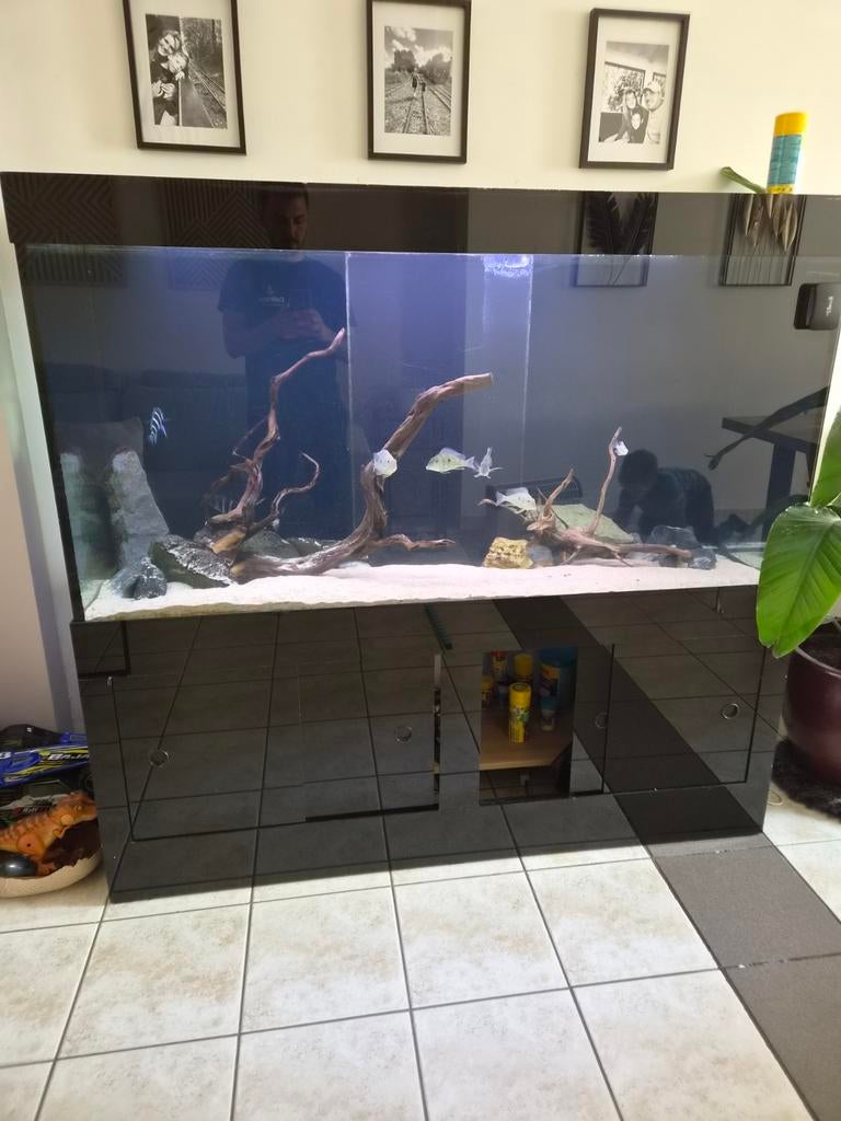 A quarium 100 euro tout comprit, Animaux & Accessoires, Enlèvement ou Envoi