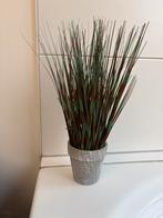 Kunstplant, Enlèvement ou Envoi, Utilisé, Intérieur