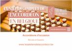 Accordéon d'occasion, Musique & Instruments, Enlèvement, Utilisé, Accordéon à boutons, Avec bretelles