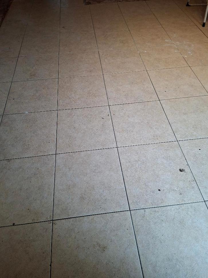 vloertegels 45*45 cm, Bricolage & Construction, Dalles & Carrelages, Neuf, Carrelage de sol, Céramique, 40 à 60 cm, 40 à 60 cm