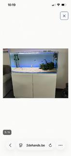 Aquarium, Dieren en Toebehoren, Ophalen, Zo goed als nieuw, Gevuld zoetwateraquarium