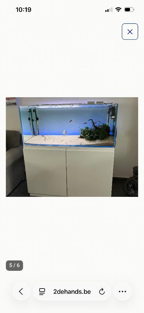 Aquarium, Dieren en Toebehoren, Vissen | Aquaria en Toebehoren, Zo goed als nieuw, Gevuld zoetwateraquarium, Ophalen