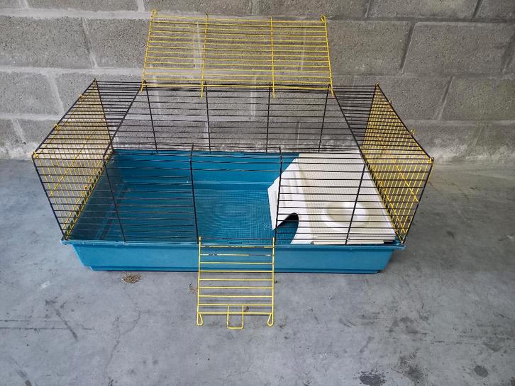 kooi voor kleine knaagdieren, kuikens, Dieren en Toebehoren, Knaagdieren en Konijnen | Hokken en Kooien, Gebruikt, Kooi, Minder dan 60 cm