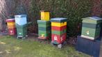 Plusieurs ruches Dadant, ruchettes, accessoires, Animaux & Accessoires, Enlèvement