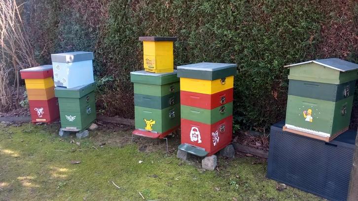 Plusieurs ruches Dadant, ruchettes, accessoires, Animaux & Accessoires, Autres accessoires pour animaux, Enlèvement
