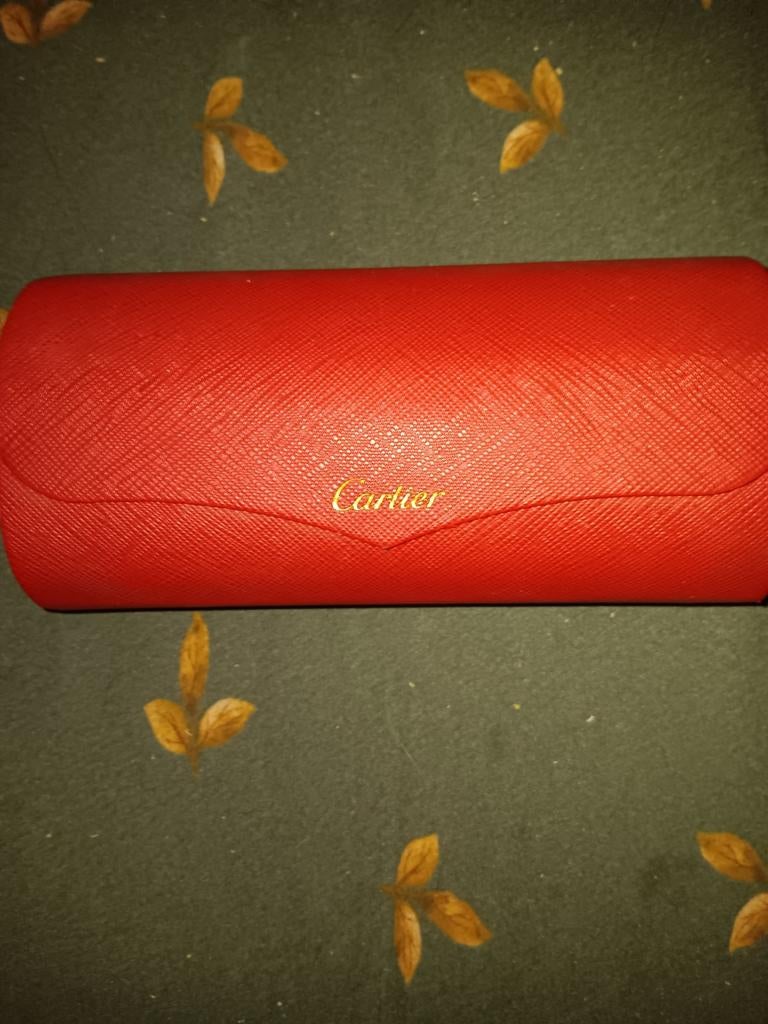 Zonnebril van merk Cartier, Ophalen, Zonnebril