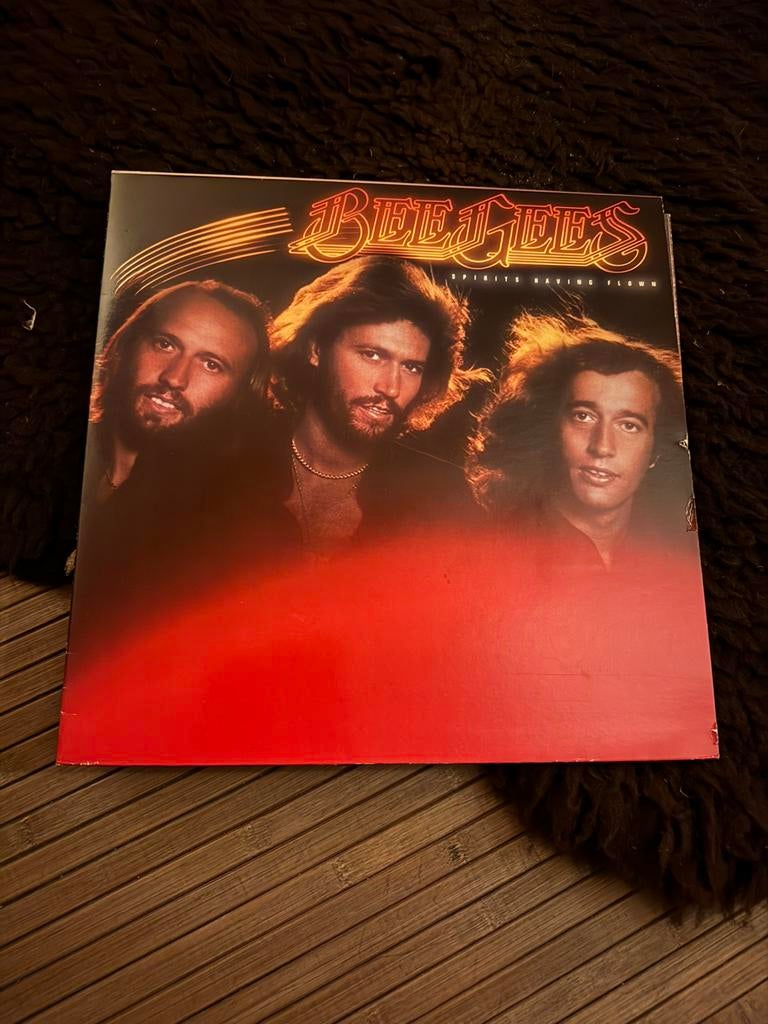 LP à 2 euros par album, CD & DVD, Vinyles | Classique, Enlèvement, Utilisé