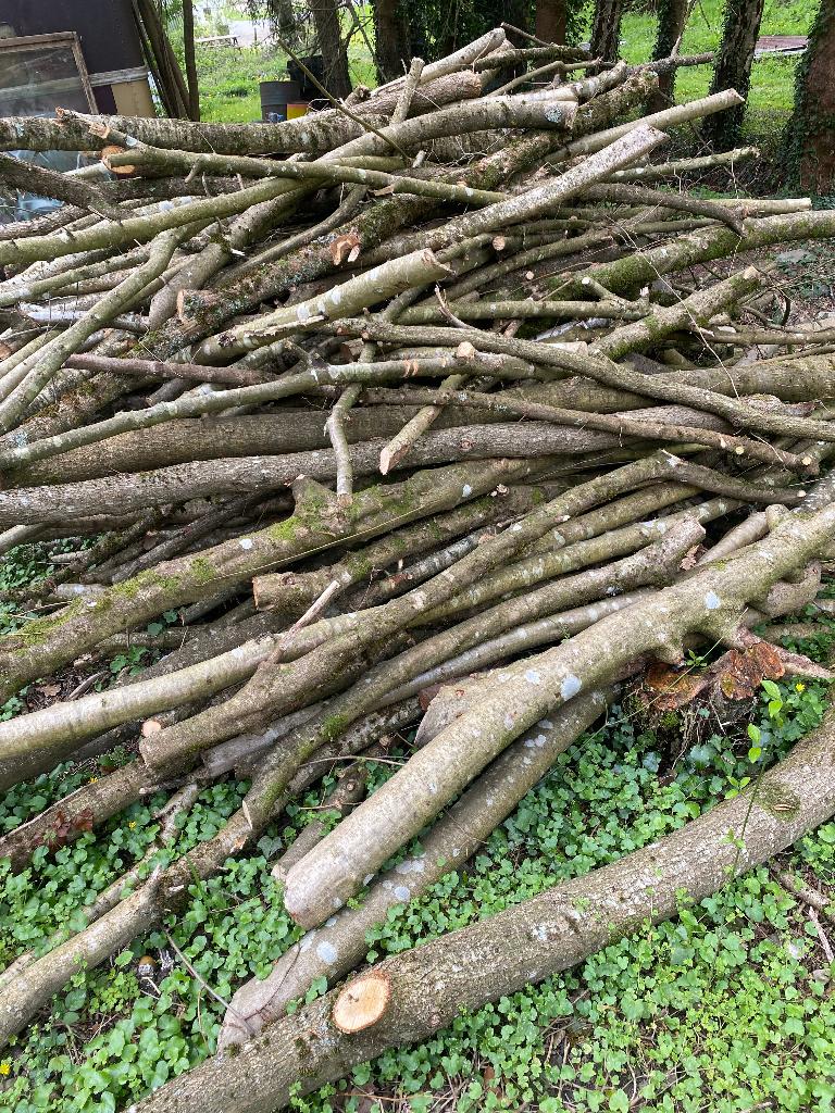 Bois de chauffage, Enlèvement