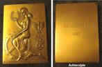 Medaille prijskamp smalfilmclub Mortsel 1982 Zellaerpad, Verzenden, Brons
