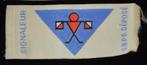 Badge insigne scout louveteaux FSC SBPB Belgique, Comme neuf, Emblème, Broche ou Badge, Enlèvement ou Envoi