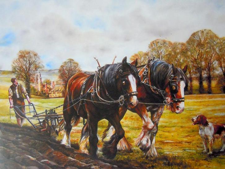 Poster ploegende boer & Brabantse trekpaarden, Huis en Inrichting, Woonaccessoires | Wanddecoraties, Nieuw, Ophalen of Verzenden