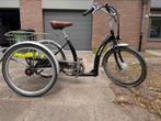 Driewielfiets met ondersteuning, Ophalen, Gebruikt, Popal