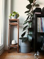 Vintage rotan plantenstandaard, Ophalen, Gebruikt
