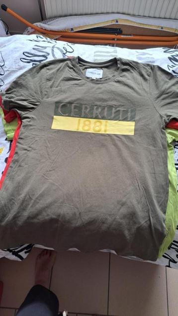 lot 10 t-shirts homme taille M-L-XL + 1 casquette beschikbaar voor biedingen