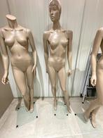 Etalagepop, paspop, mannequin te kooo, Diversen, Ophalen, Gebruikt