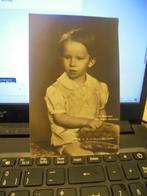 SAR Prince Baudouin, Collections, Enlèvement ou Envoi, Comme neuf, Carte, Photo ou Gravure